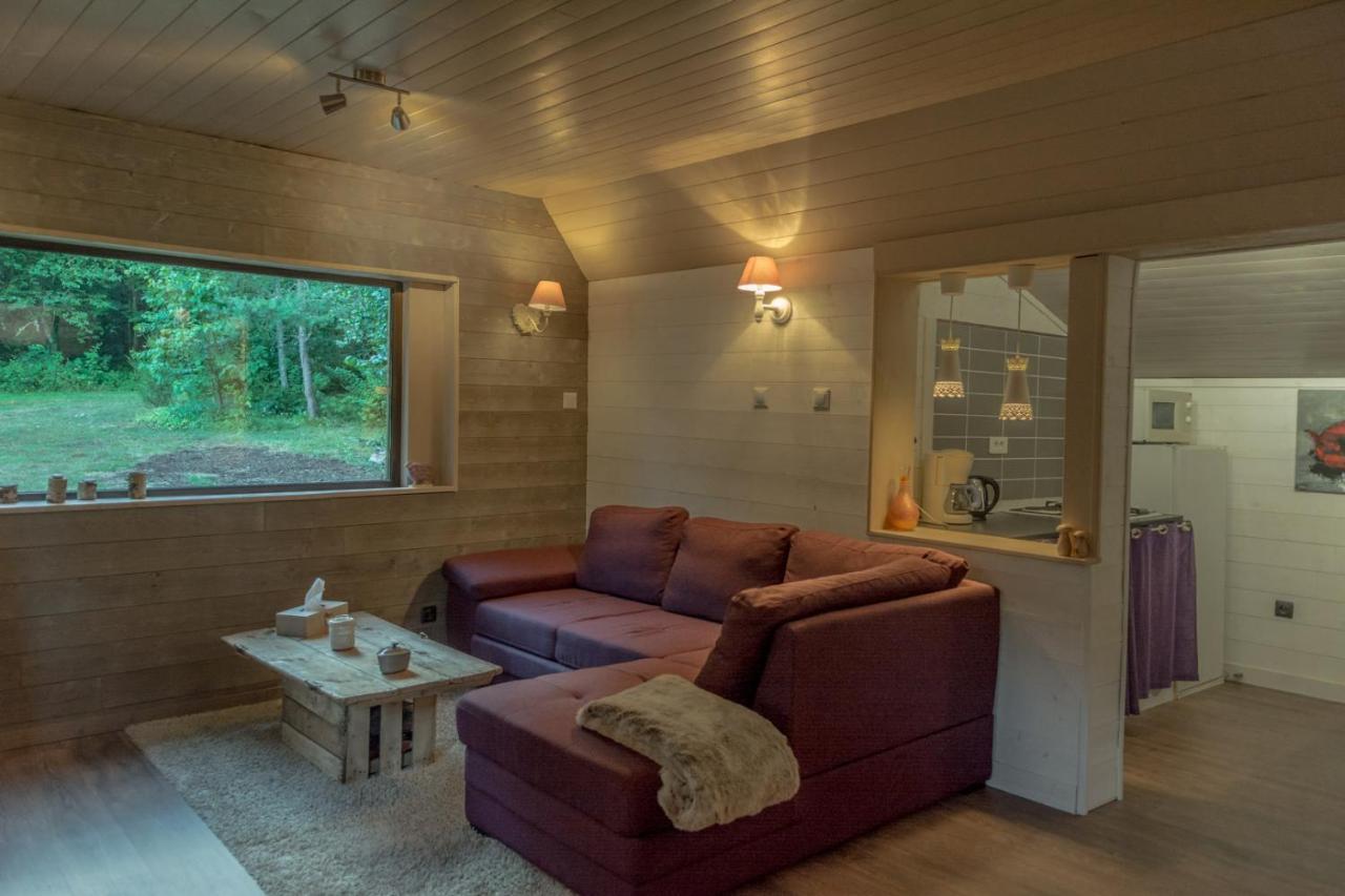 L'Esprit Du Bois Villa Aydat Eksteriør billede