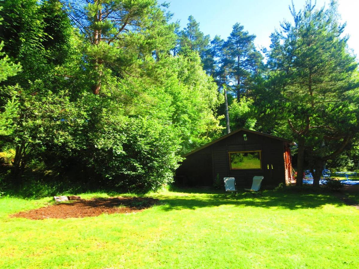 L'Esprit Du Bois Villa Aydat Eksteriør billede